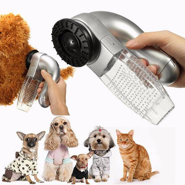 Pet Supplies