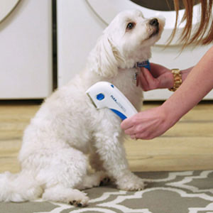 Flea Doctor for Dogs and Cats