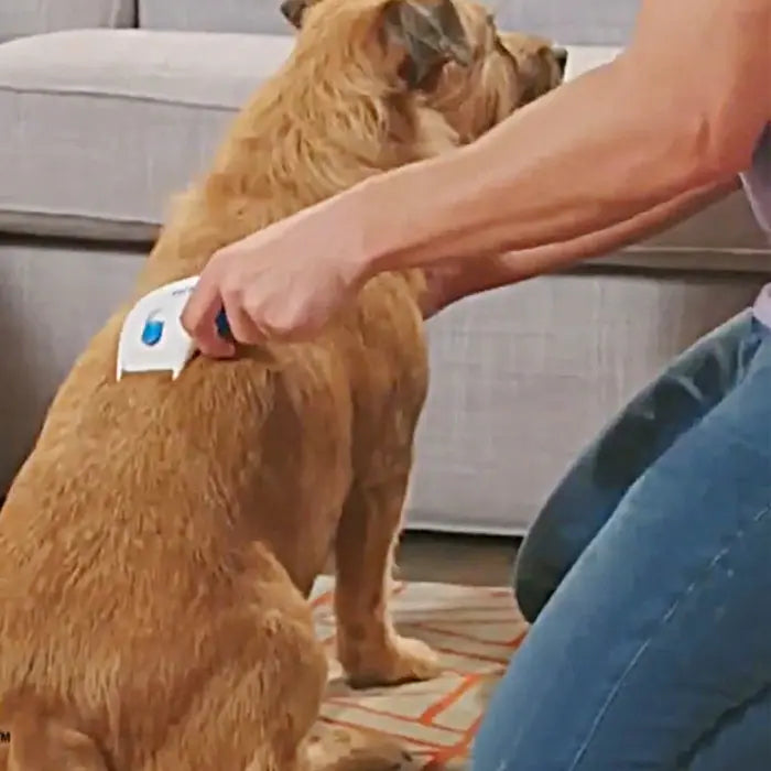 Flea Doctor for Dogs and Cats