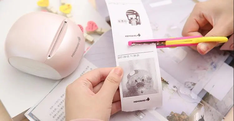 MEMOBIRD G2 Mini Printers Phone WIFI - Photo Thermal Printers