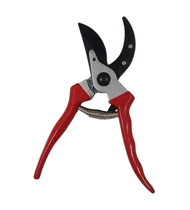 Pruning Shear